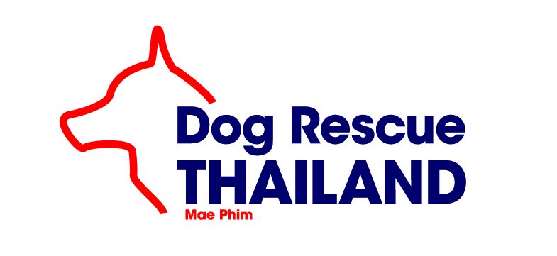 Dog Rescue Thailand